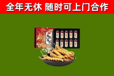 聂荣县烟酒回收冬虫夏草礼盒.jpg