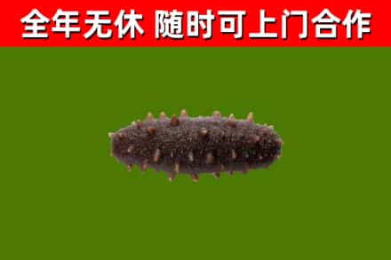 聂荣县烟酒回收干海参.jpg